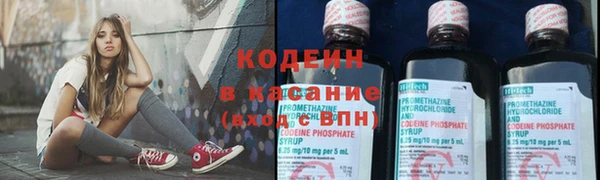 ECSTASY Алзамай